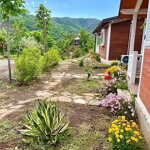 Baven -toven Naturae , Rubik Albania